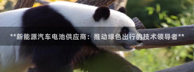 优发国际集团股份有限公司