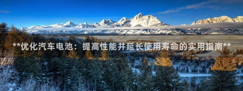 优发国际手机版客户端下载