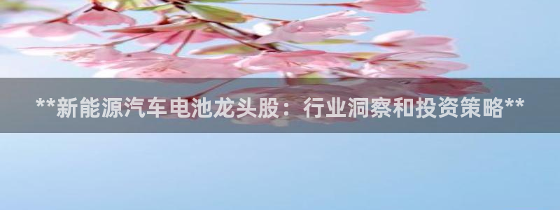 优发国际平台u8怎么样可靠吗