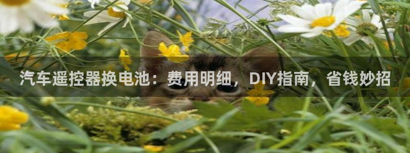 优发国际VIP网址