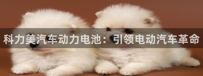 优发国际手机客户端
