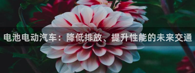 优发国际youfa