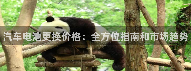 优发国际app官网下载安装手机版