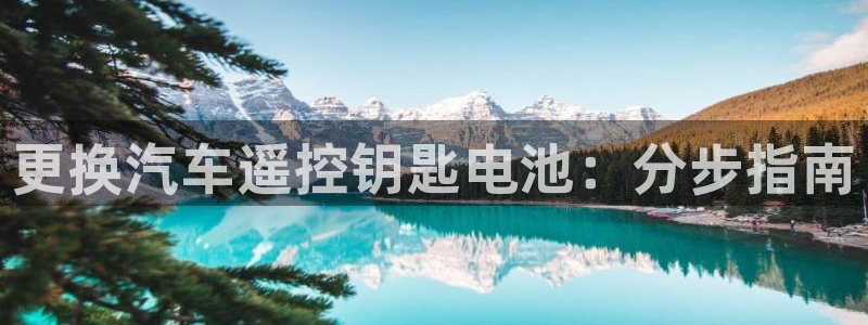 优发国际手机版官网入口