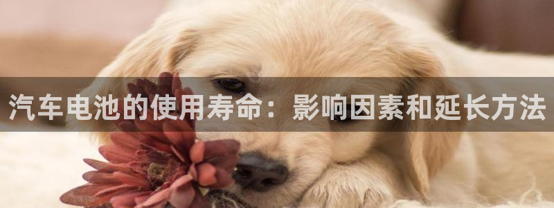 优发国际不出款