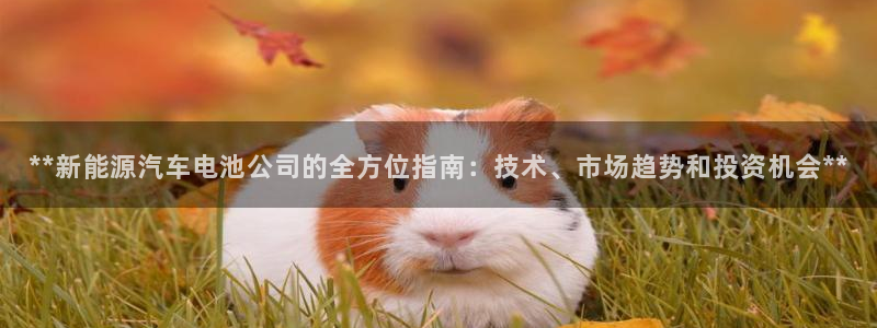 优发国际登陆