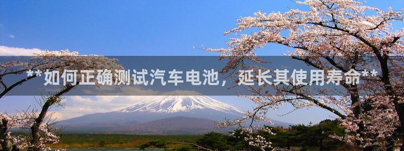 优发国际登陆u
