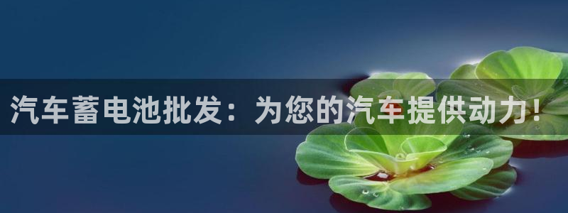优发国际安卓版下载安装