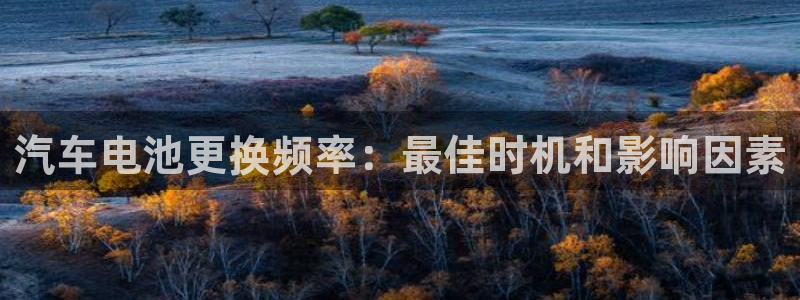 优发国际网官