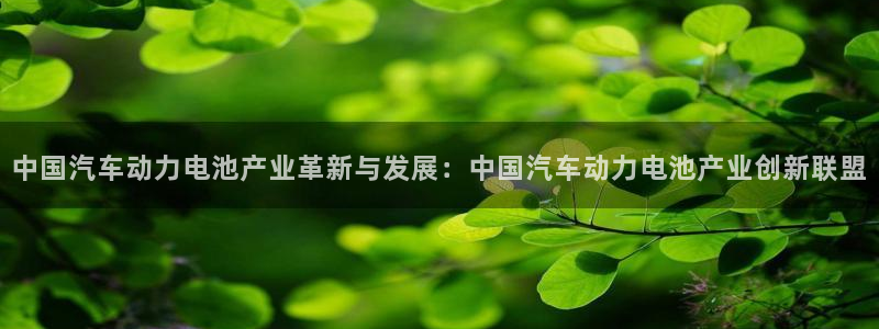 优发国际多少钱