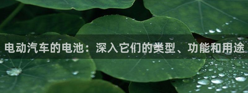 优发国际安卓版下载安装最新版