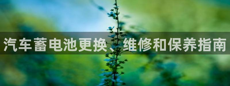 优发国际手机版网站入口