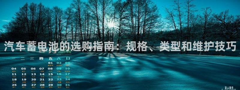 优发国际是大平台吗还是小平