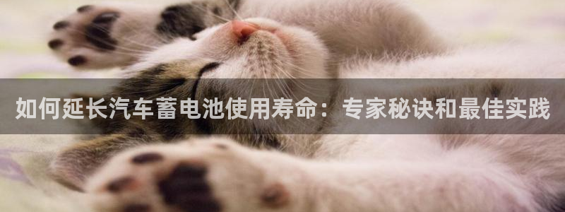 优发国际官网值是多少