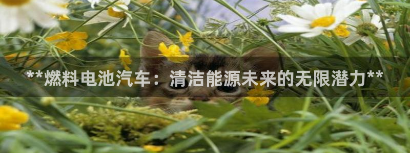 优发国际娱乐官网多少?