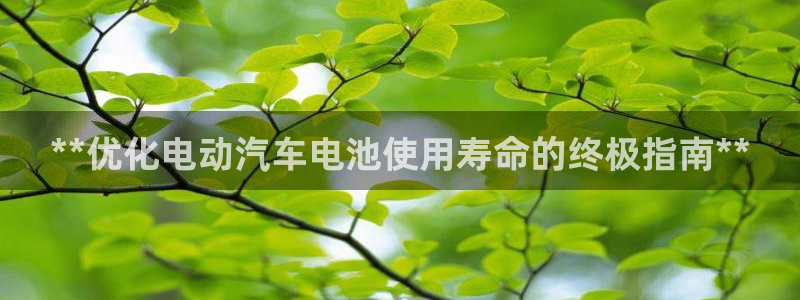 优发国际这个平台怎么样