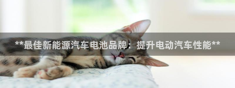 优发国际手机版官网