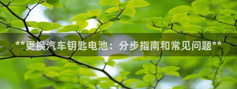 优发国际网站178