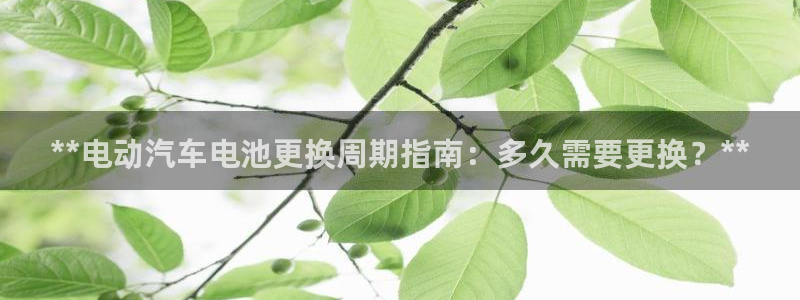 优发国际合并到哪里了最新消息