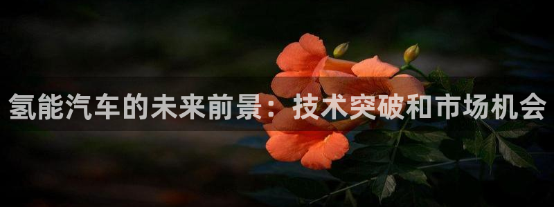 优发国际-触即发