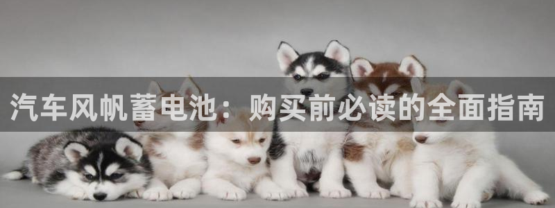 优发国际官网登陆