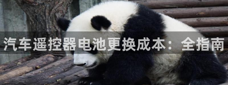 优发国际合并到哪里了