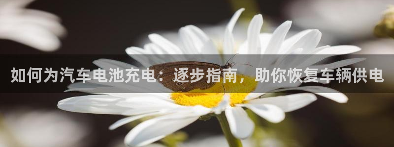 优发国际这个平台怎么样啊