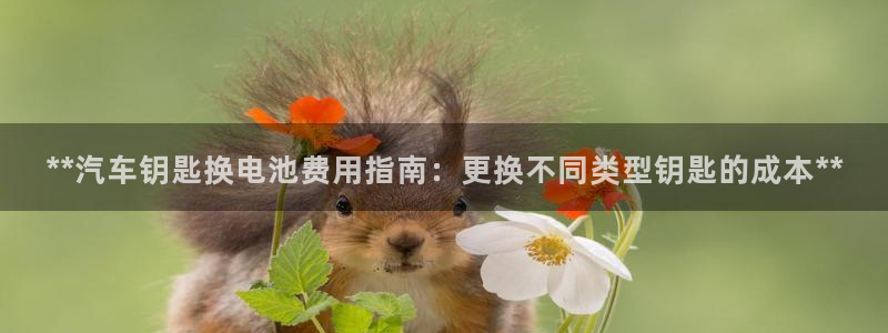 优发国际vip网址