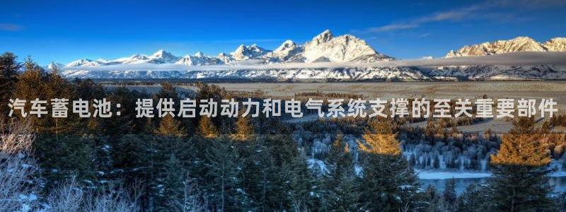 优发国际客服联系方式