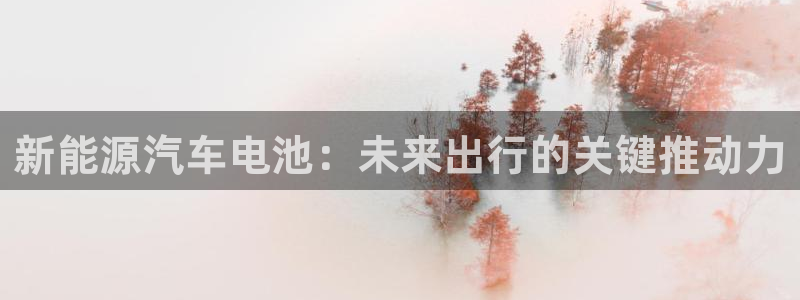 优发国际是什么