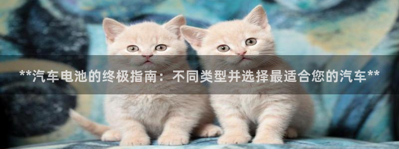 优发国际官网qy88