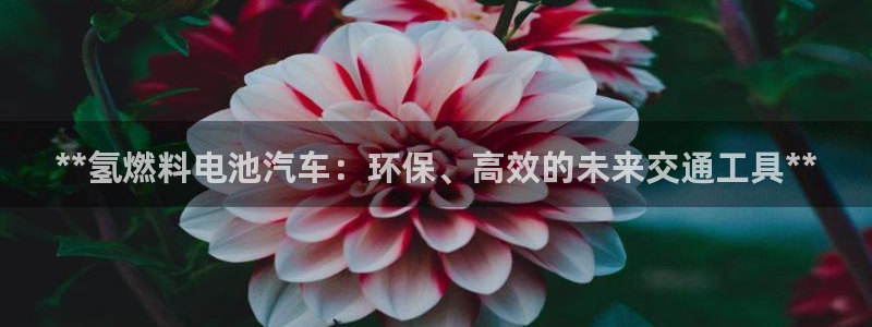优发国际手机版客户端