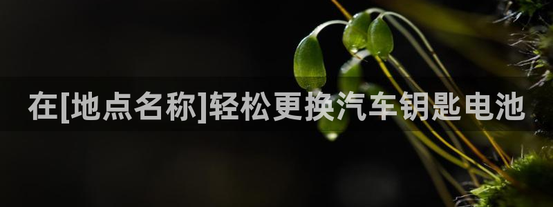 优发国际网站多少