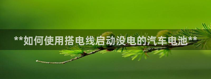 优发国际bob