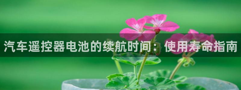 优发国际平台g8怎么样