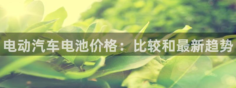 优发国际手机app下载安装最新版