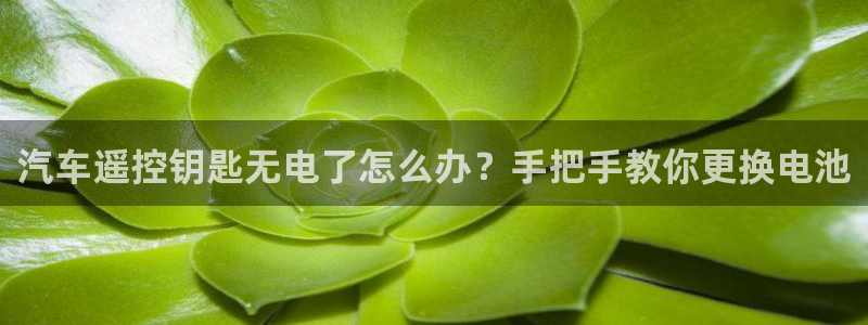 优发国际平台app下载苹果版