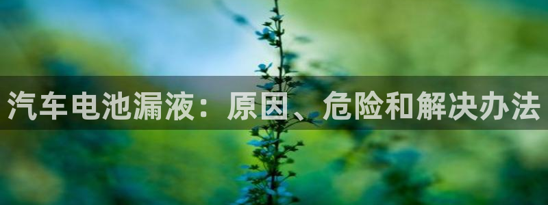 优发国际提现不了