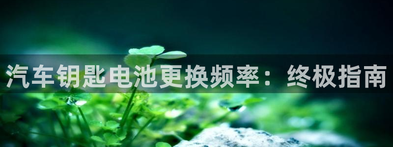 优发娱乐官网地址