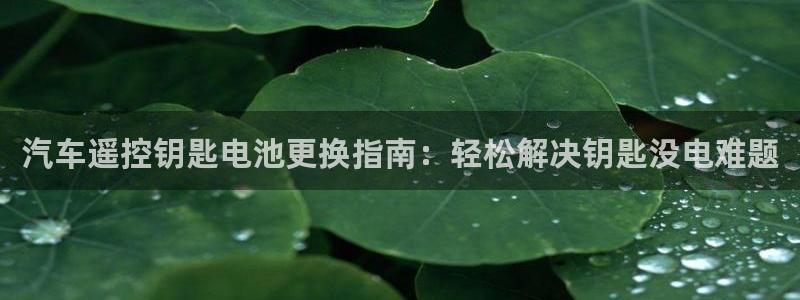 优发国际官方网平台电话