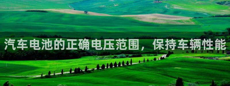 优发国际手机版下载