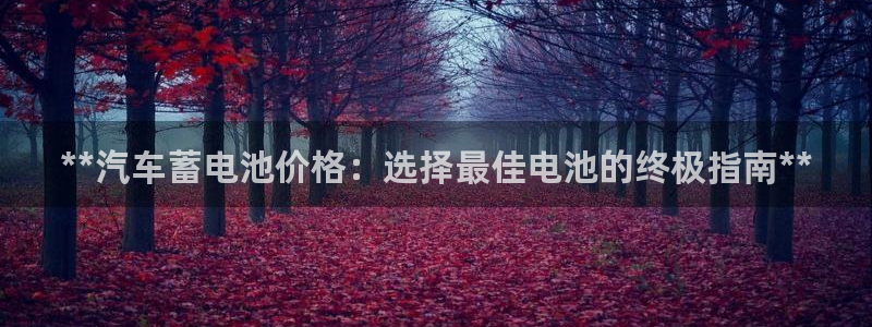 优发国际手机登录下载安装