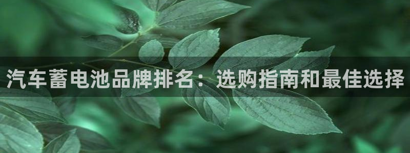 优发国际一首页
