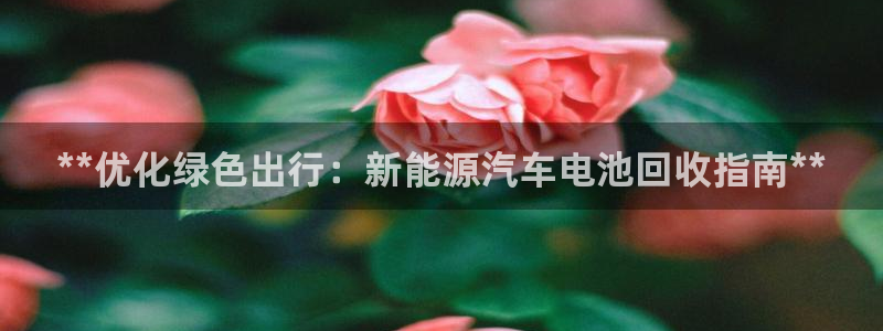 优发国际官方网手机版app