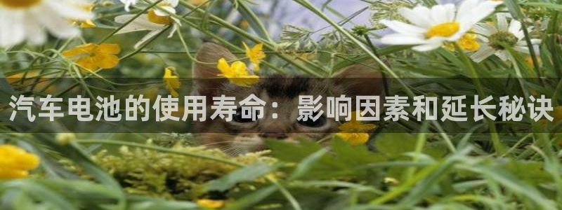 优发娱乐国际线上