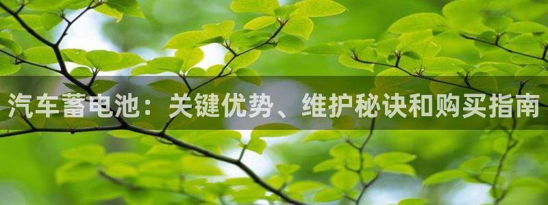 优发国际手机app下载地址