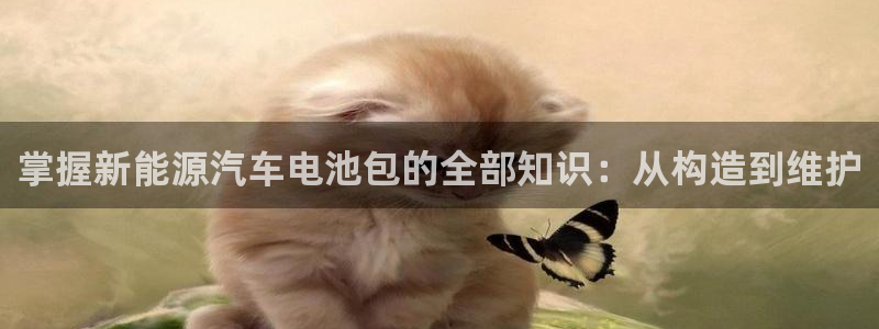 优发国际可以玩吗
