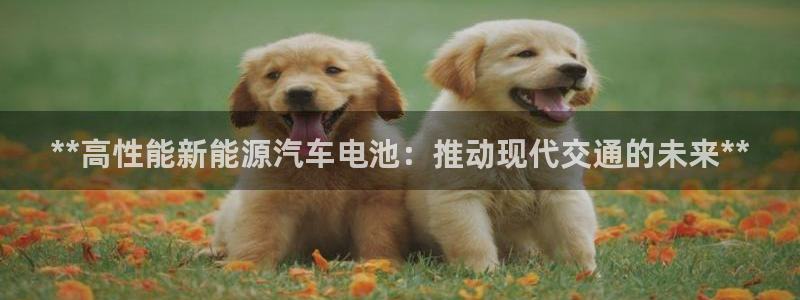 优发国际手机客户端下载安装
