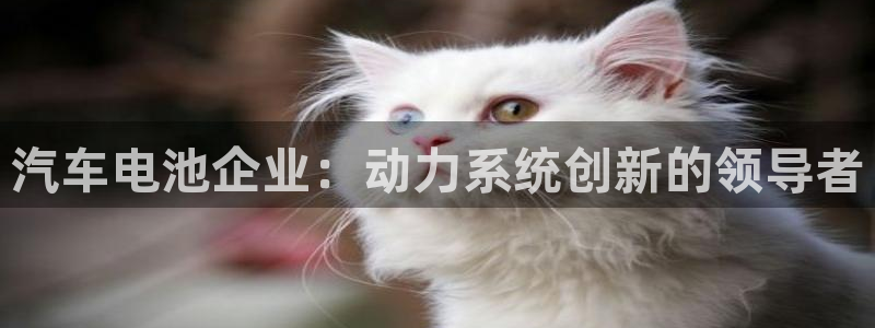 优发国际平台u8怎么样可靠吗