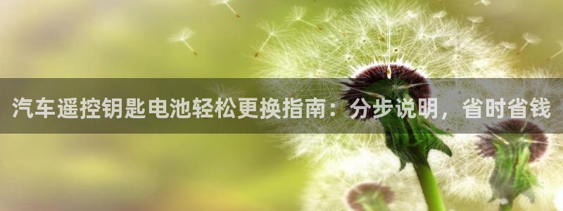 优发国际youfa966